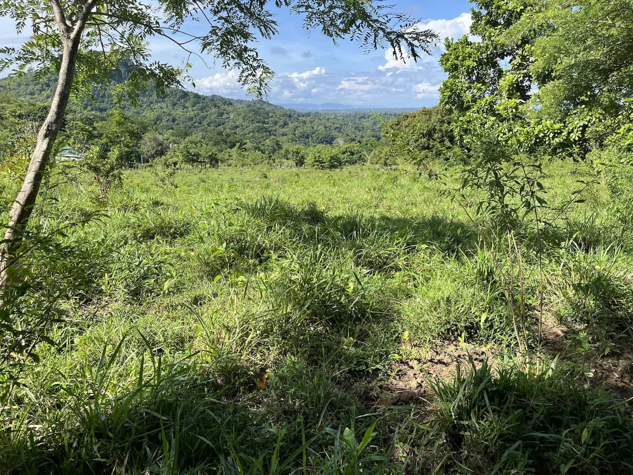 SPACIOUS LOT WITH PANORAMIC OCEAN VIEWS, IN SAN BUENAVENTURA DE CORONADO – 0.74 ACRES, photo 16