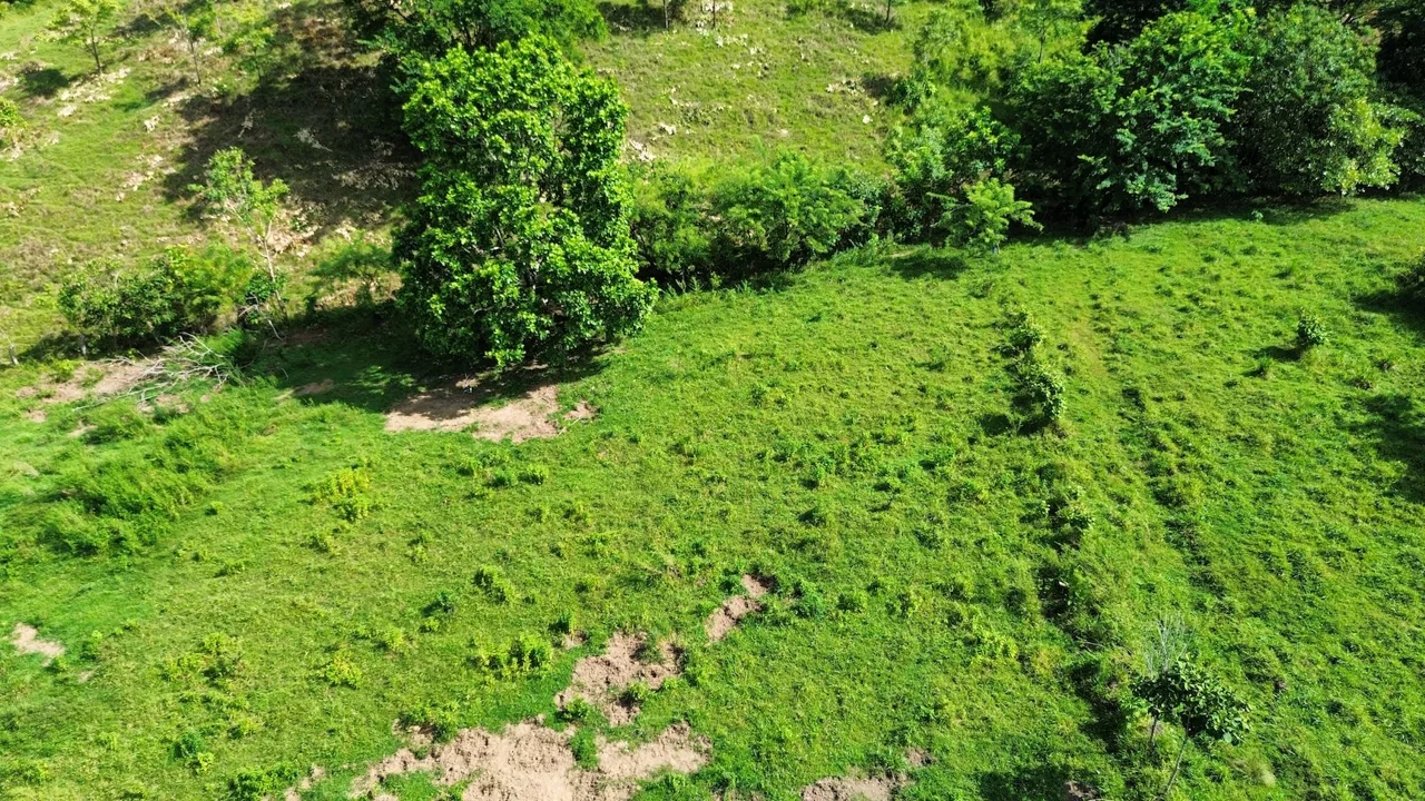 SPACIOUS LOT WITH PANORAMIC OCEAN VIEWS, IN SAN BUENAVENTURA DE CORONADO – 0.74 ACRES, photo 5