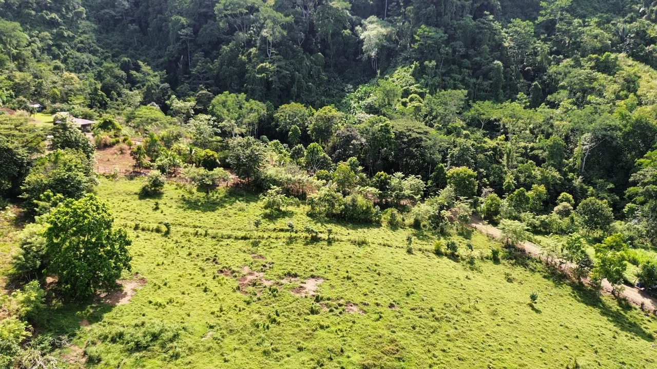 SPACIOUS LOT WITH PANORAMIC OCEAN VIEWS, IN SAN BUENAVENTURA DE CORONADO – 0.74 ACRES, photo 6