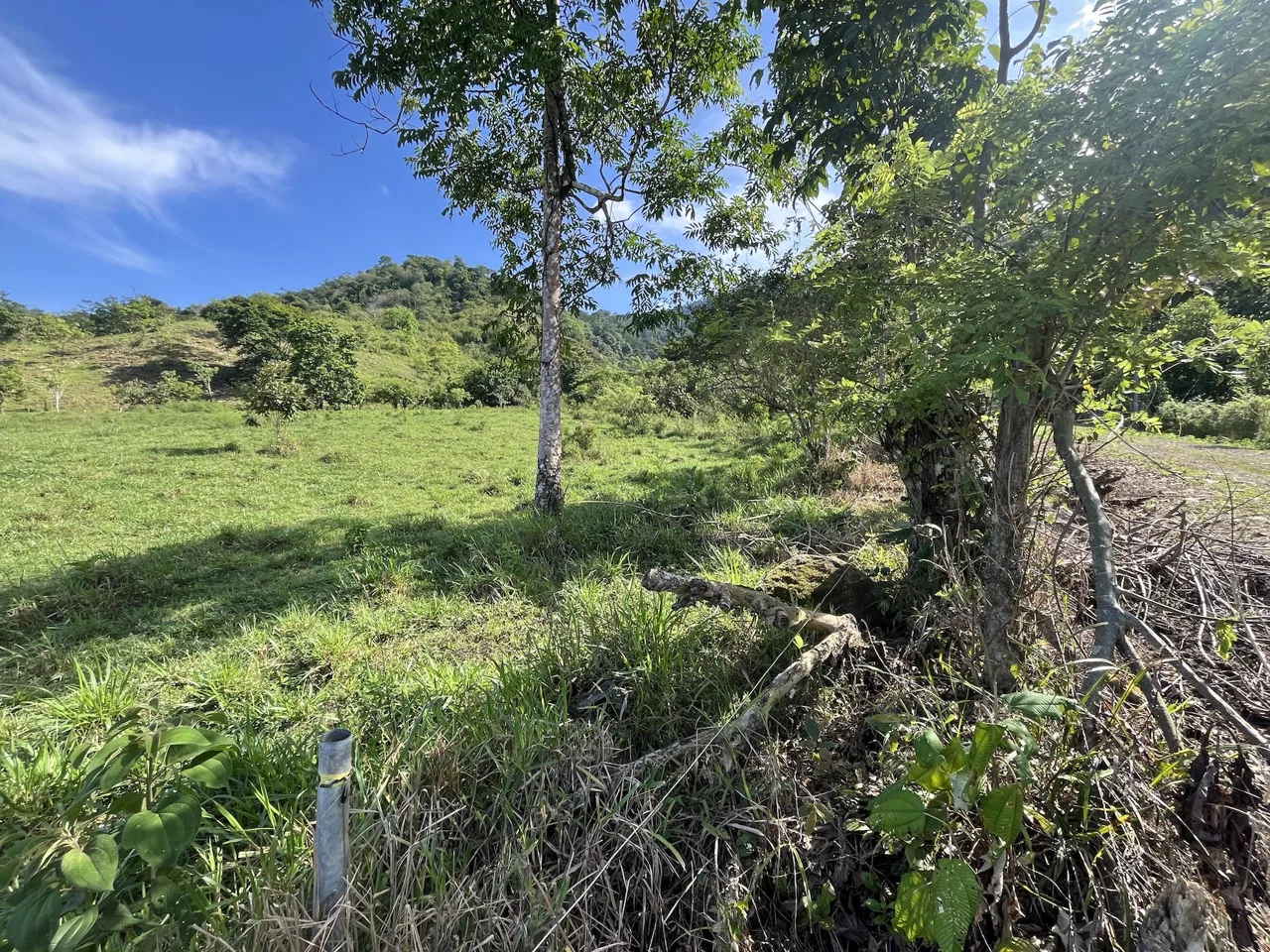 SPACIOUS LOT WITH PANORAMIC OCEAN VIEWS, IN SAN BUENAVENTURA DE CORONADO – 0.74 ACRES, photo 7