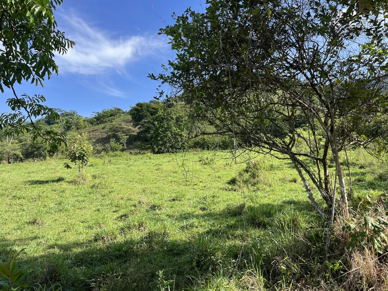 SPACIOUS LOT WITH PANORAMIC OCEAN VIEWS, IN SAN BUENAVENTURA DE CORONADO – 0.74 ACRES, photo 8