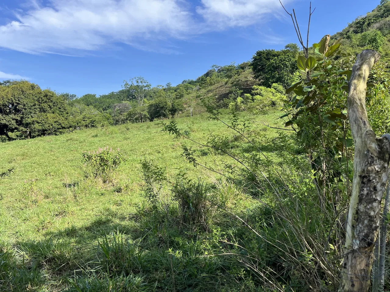 SPACIOUS LOT WITH PANORAMIC OCEAN VIEWS, IN SAN BUENAVENTURA DE CORONADO – 0.74 ACRES, photo 9