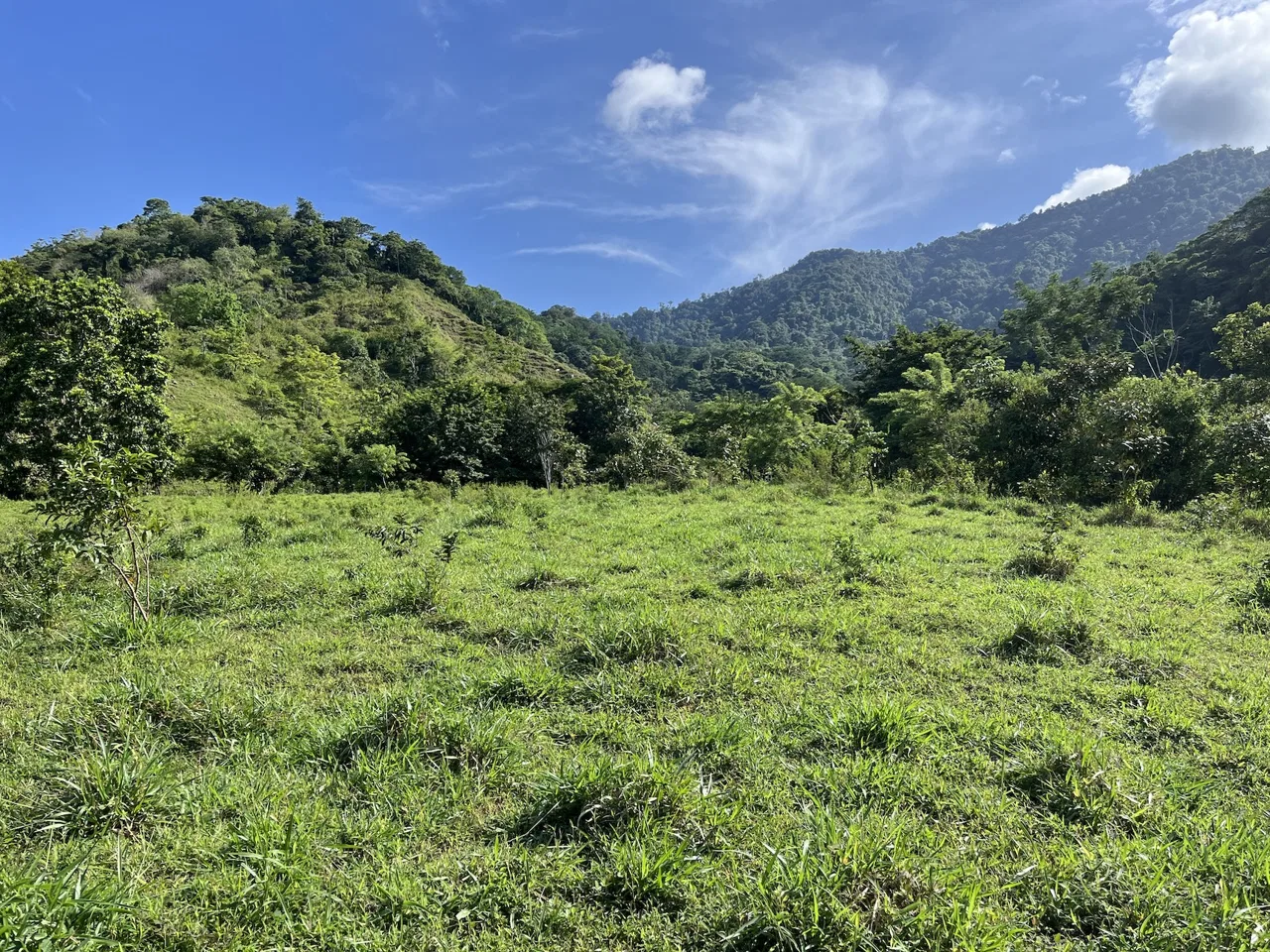 SPACIOUS LOT WITH PANORAMIC OCEAN VIEWS, IN SAN BUENAVENTURA DE CORONADO – 0.74 ACRES, photo 10