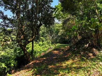 Descubra el paraíso: el terreno de sus sueños le espera en Dominical, Costa Rica, photo 5