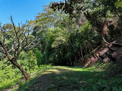 Descubra el paraíso: el terreno de sus sueños le espera en Dominical, Costa Rica, photo 8