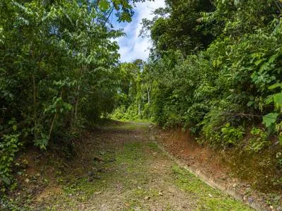 Vistas al valle, 1.5 ACRES Tierra del Ceibo lote #4, photo 10