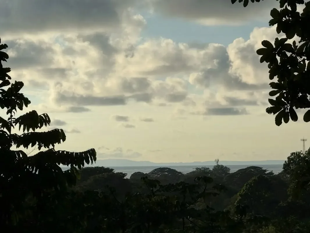 Escape to the lush canopy of Calle La Montaña, where the mountains meet the sea.