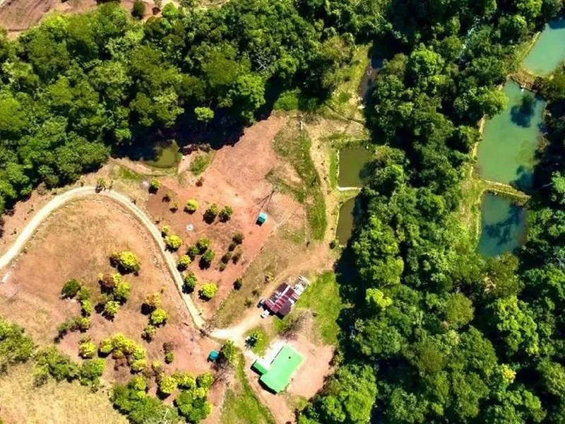 1 Bed Land For Sale in Perez Zeledon, photo 2