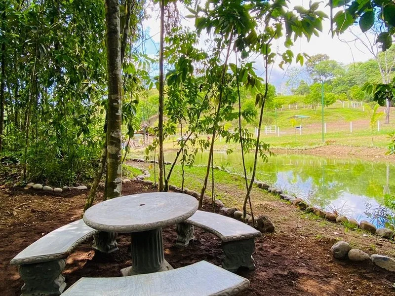 1 Bed Land For Sale in Perez Zeledon, photo 3