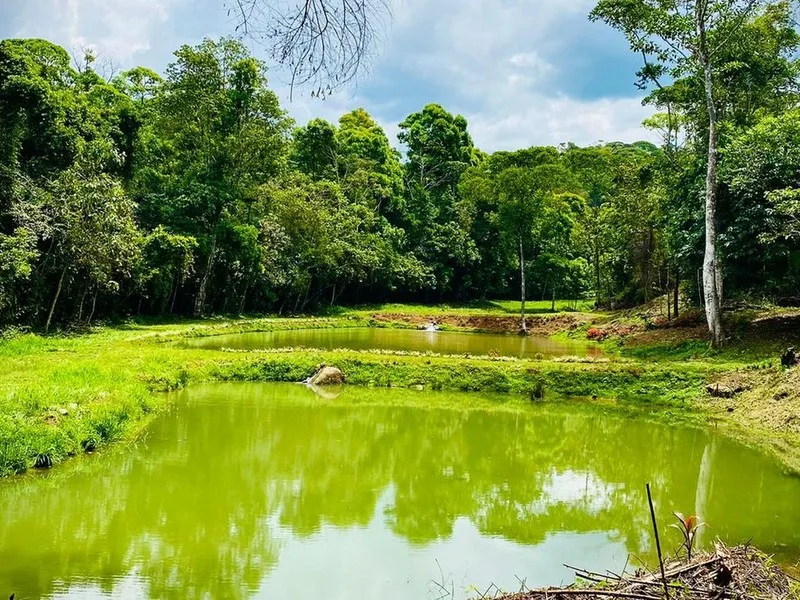 1 Bed Land For Sale in Perez Zeledon, photo 8