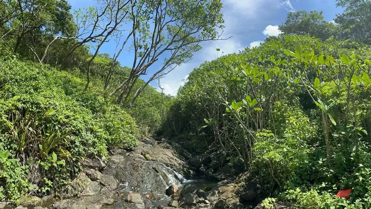 Location: This stunning property is located in the beautiful Guanacaste region of Costa Rica, with direct and exclusive access to a dream beach., photo 9