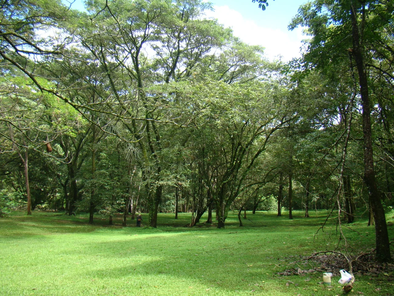 Luxury Property for Sale with River and Lush Nature — 44,594 m² - RE/MAX Tierra de Oro, photo 18