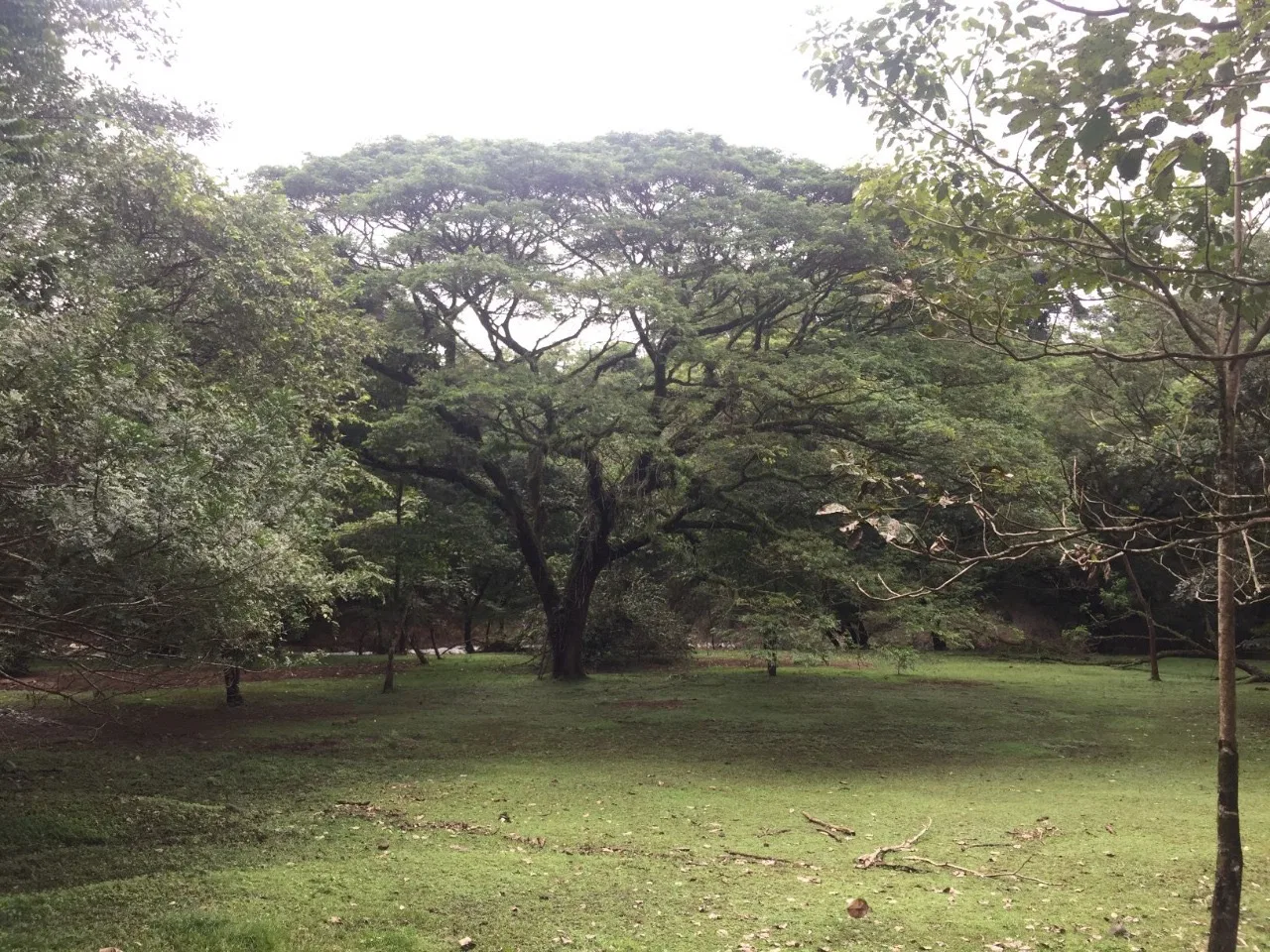 Luxury Property for Sale with River and Lush Nature — 44,594 m² - RE/MAX Tierra de Oro, photo 10