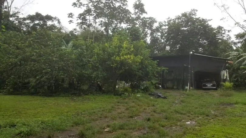 flat land, currently planted with fruit trees including oranges, star apples, coconuts, ..., photo 4