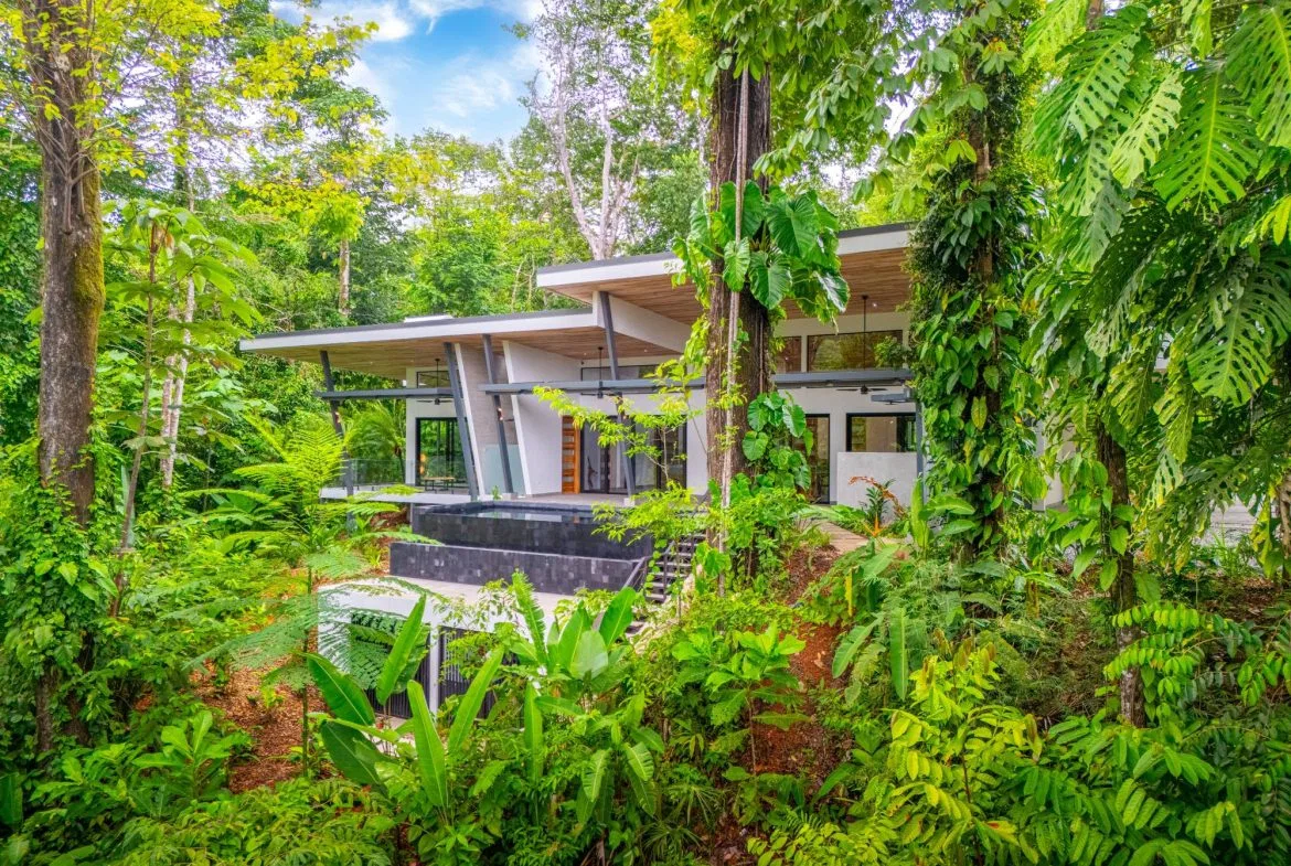 JUNGLE PROPERTY IN UVITA – 3.27 ACRES, photo 14