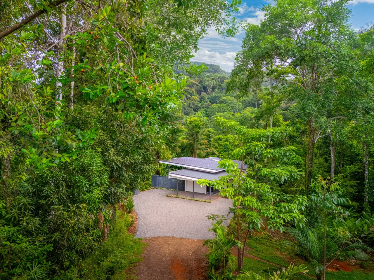 JUNGLE PROPERTY IN UVITA – 3.27 ACRES, photo 5