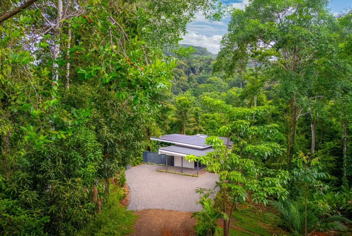 JUNGLE PROPERTY IN UVITA – 3.27 ACRES, photo 6