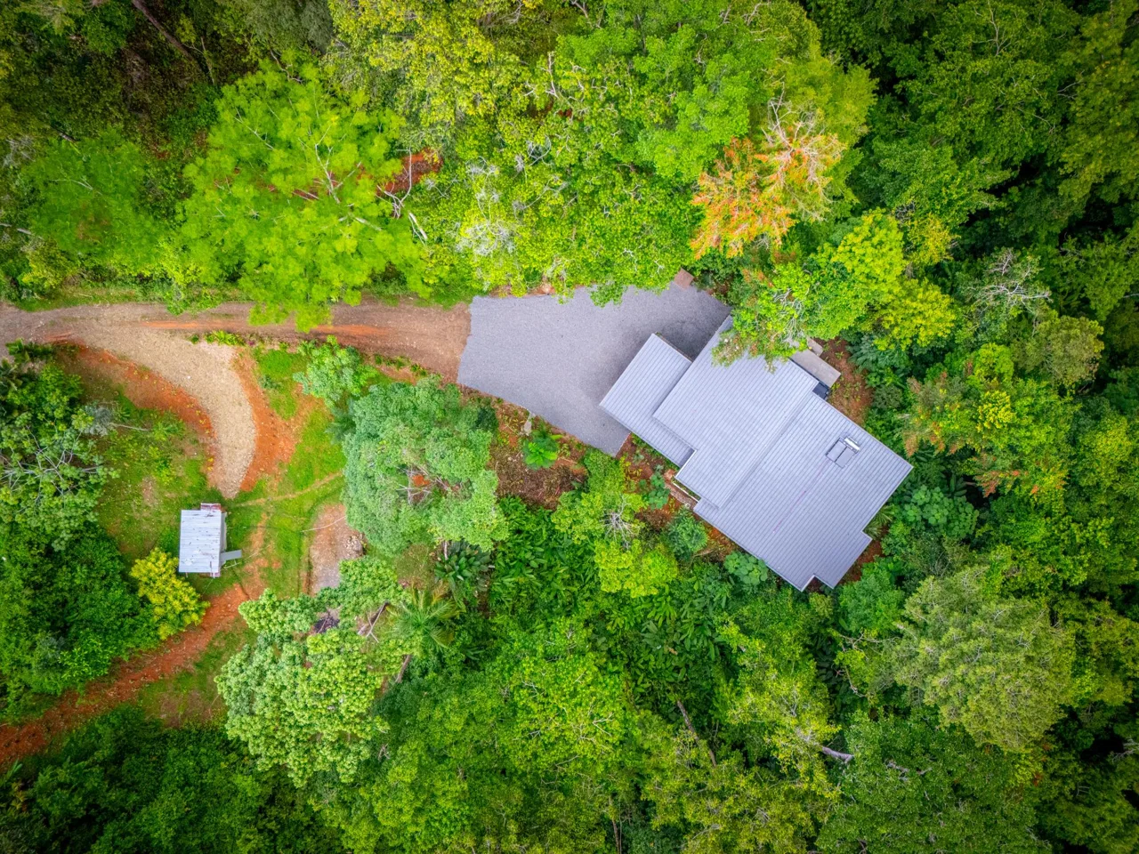JUNGLE PROPERTY IN UVITA – 3.27 ACRES, photo 7