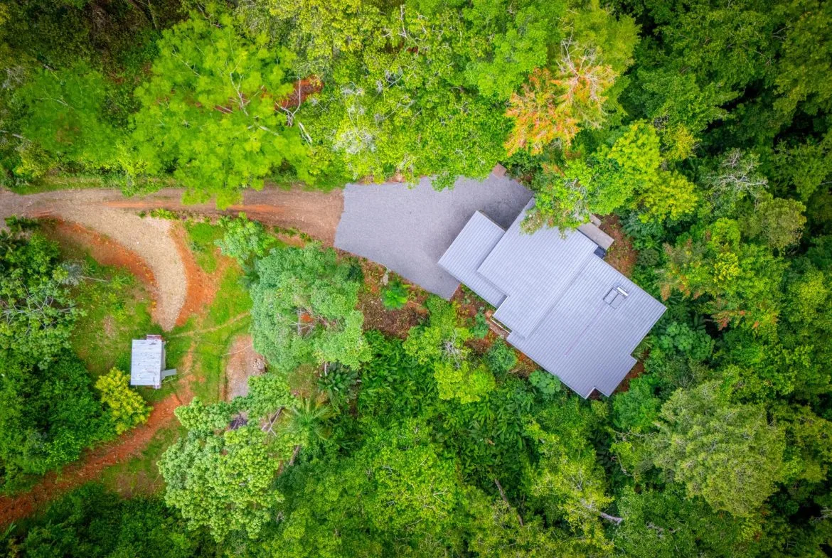 JUNGLE PROPERTY IN UVITA – 3.27 ACRES, photo 8