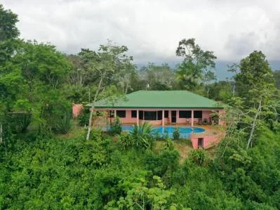 ACRES – Fabulous Ocean View, Mature Fruit Trees!!!, photo 2