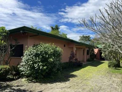 ACRES – Fabulous Ocean View, Mature Fruit Trees!!!, photo 6