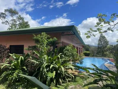 ACRES – Fabulous Ocean View, Mature Fruit Trees!!!, photo 7