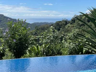 ACRES – Fabulous Ocean View, Mature Fruit Trees!!!, photo 9