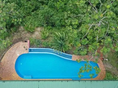 ACRES – Fabulous Ocean View, Mature Fruit Trees!!!, photo 10