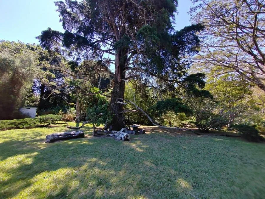 Venta de Finca en San Rafael, Heredia. RAH 24-1448 - Venta en San Rafael, photo 12