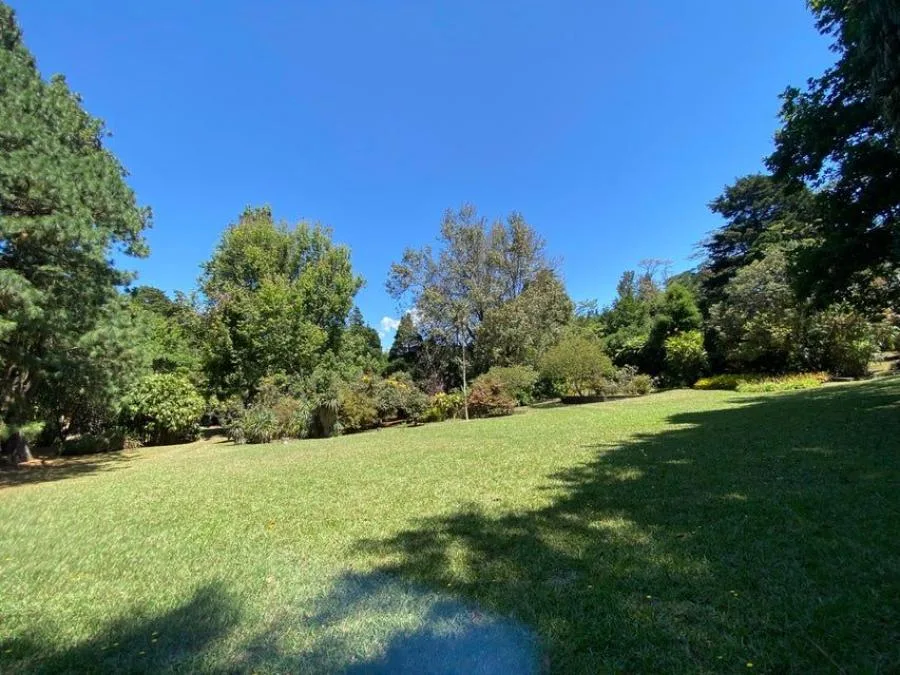 Venta de Finca en San Rafael, Heredia. RAH 24-1448 - Venta en San Rafael, photo 3