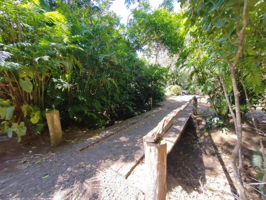 Venta de Finca en San Rafael, Heredia. RAH 24-1448 - Venta en San Rafael, photo 5