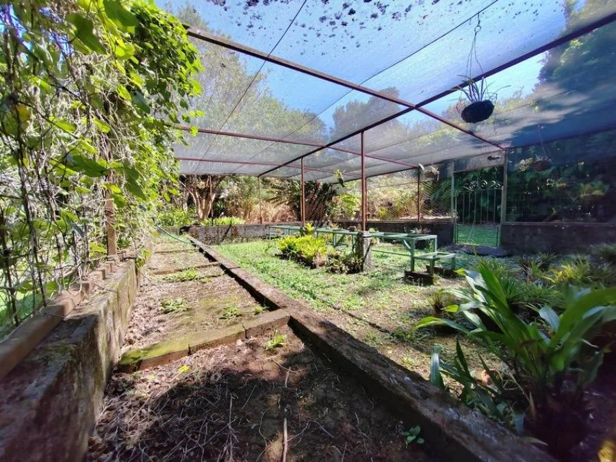 Venta de Finca en San Rafael, Heredia. RAH 24-1448 - Venta en San Rafael, photo 6