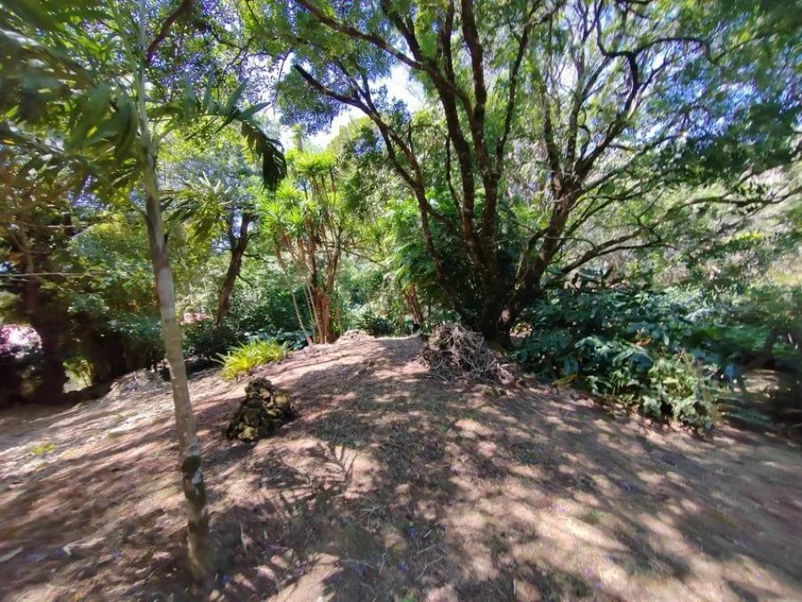 Venta de Finca en San Rafael, Heredia. RAH 24-1448 - Venta en San Rafael, photo 8