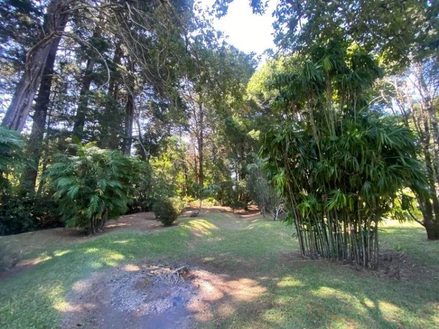 Venta de Finca en San Rafael, Heredia. RAH 24-1448 - Venta en San Rafael, photo 9