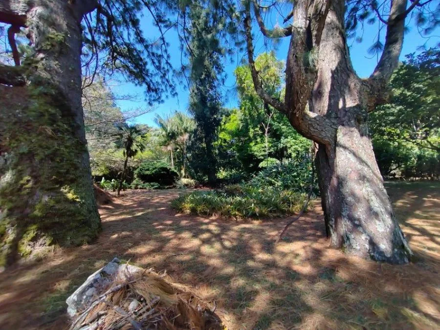 Venta de Finca en San Rafael, Heredia. RAH 24-1448 - Venta en San Rafael, photo 10
