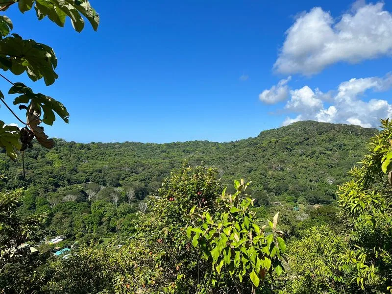 Land For Sale in Dominical, photo 2