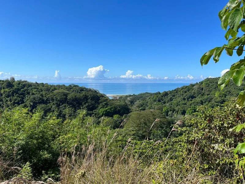 Land For Sale in Dominical, photo 11