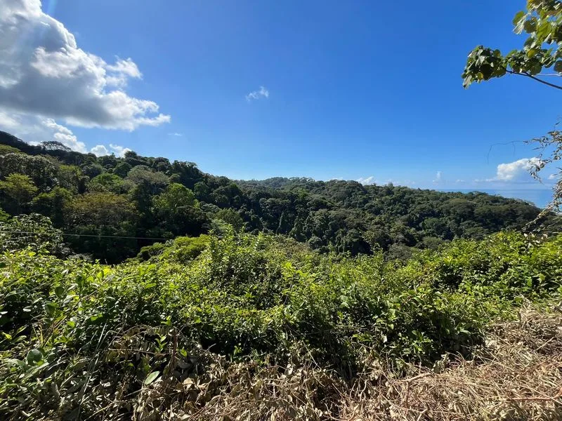 Land For Sale in Dominical, photo 12
