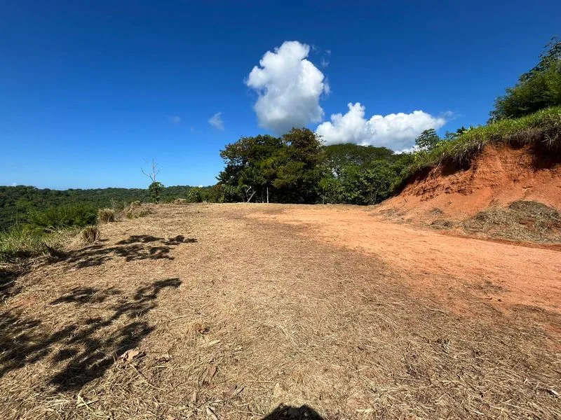 Land For Sale in Dominical, photo 14