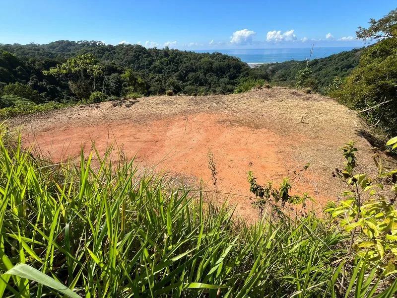 Land For Sale in Dominical, photo 15