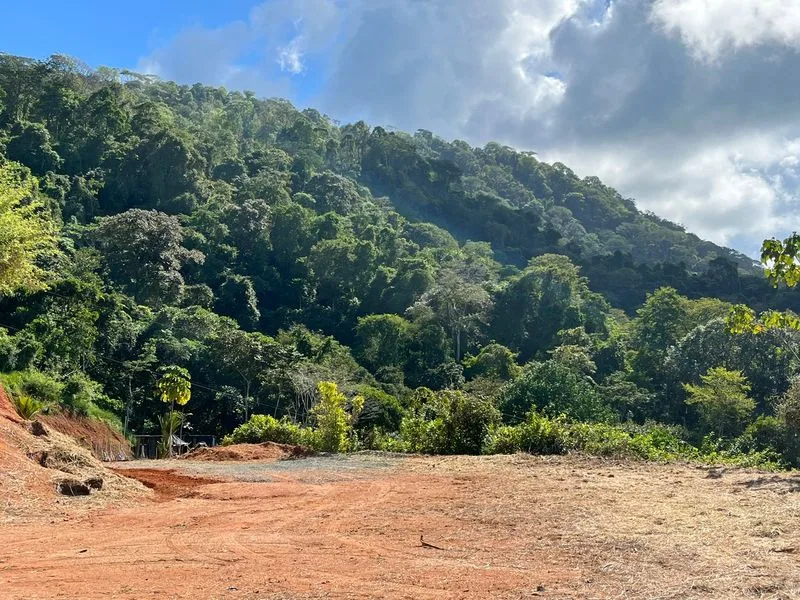 Land For Sale in Dominical, photo 3
