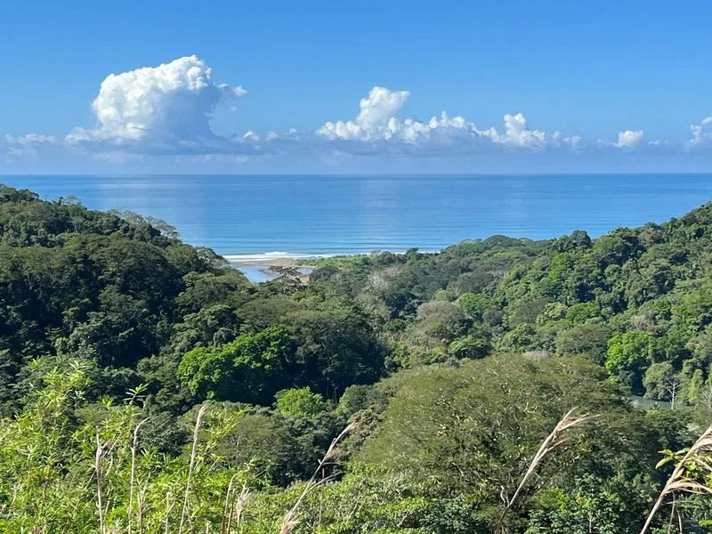 Land For Sale in Dominical, photo 5