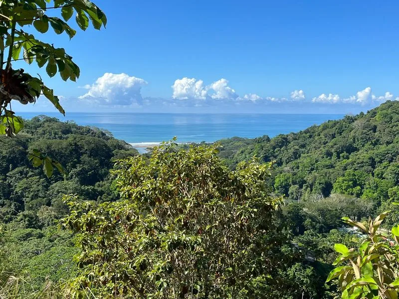 Land For Sale in Dominical, photo 6