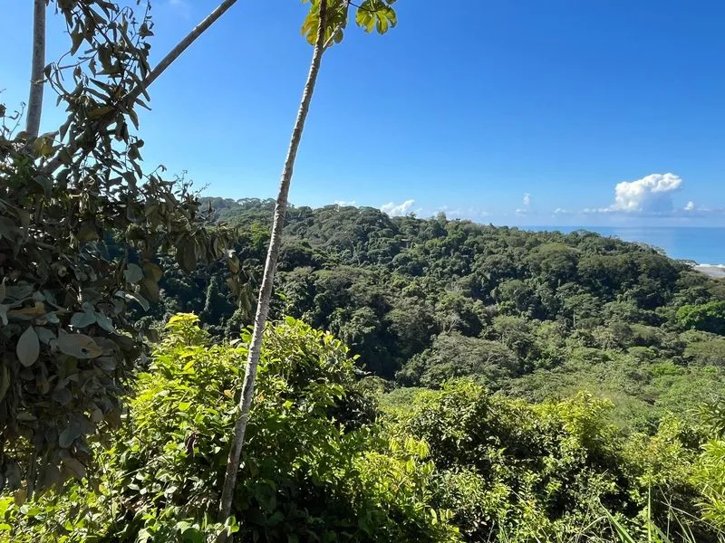 Land For Sale in Dominical, photo 7