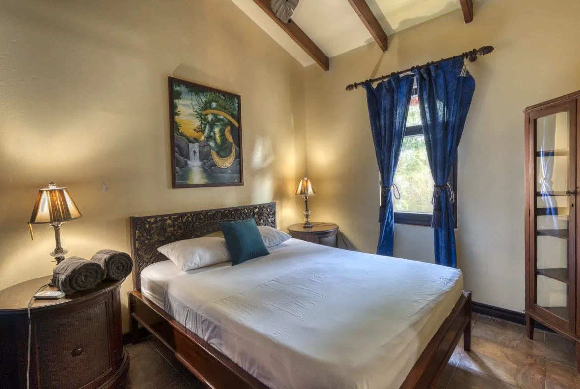 4 BEDROOM EUROPEAN STYLE HOME WITH STUNNING OCEAN VIEWS – 6.27 ACRES, photo 11