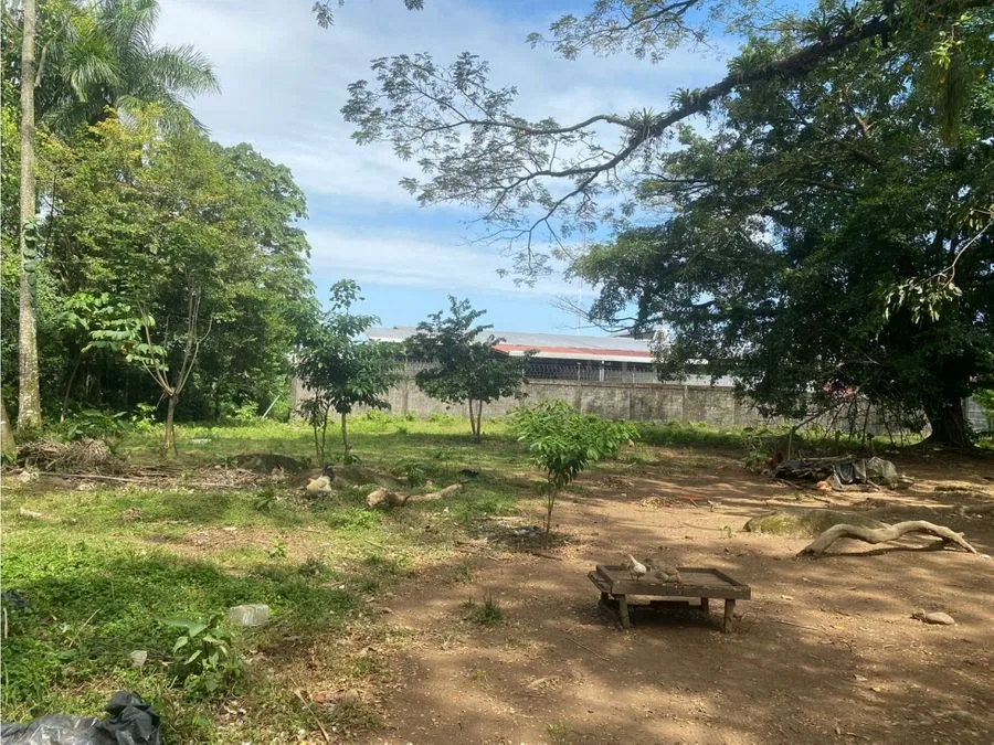 Lote frente al BAC SAN JOSE , Guapiles centro