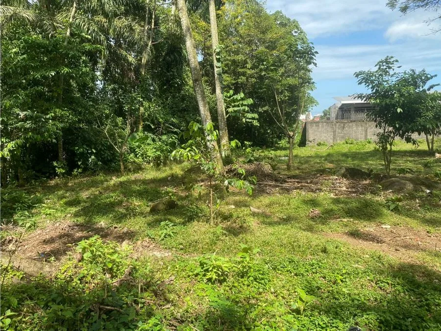Lote frente al BAC SAN JOSE , Guapiles centro, photo 2