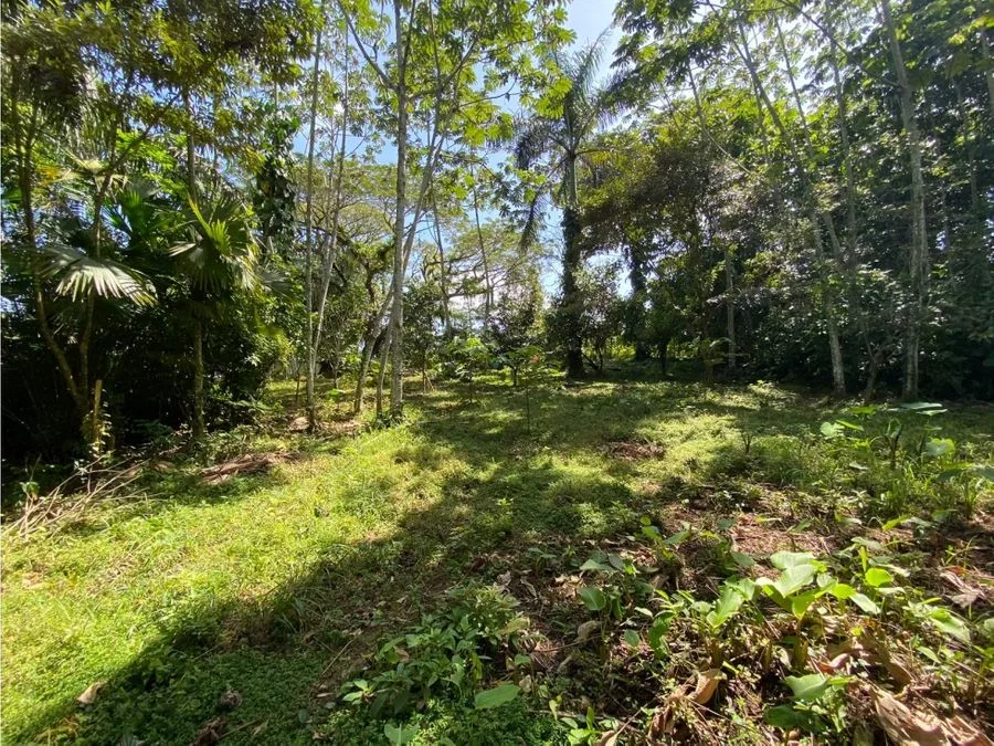 Lote frente al BAC SAN JOSE , Guapiles centro, photo 6