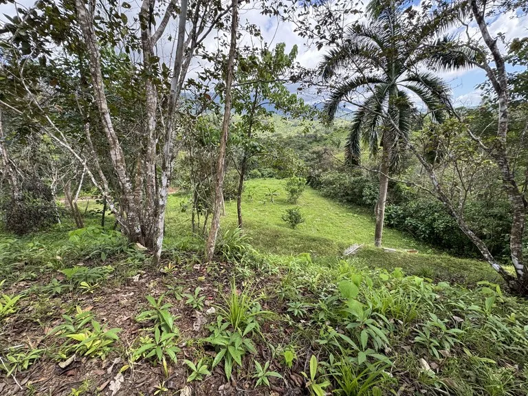 12 Acre Farm in Private Agricultural Community South of Ojochal, photo 2
