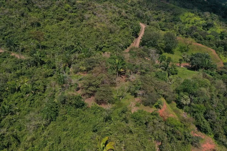 12 Acre Farm in Private Agricultural Community South of Ojochal, photo 11